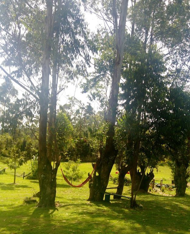 Kalitusi Nature Resort Fort Portal Eksteriør bilde